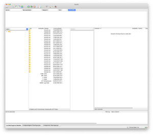 Screenshot Filezilla Anwendungsfenster